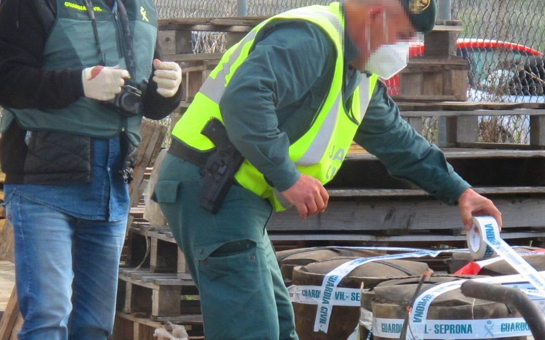 Desguace ilegal desarticulado en Zamora